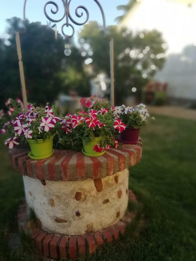 Villa Boleta, tu casa con jardín en León San Andrés del Rabanedo Exterior foto